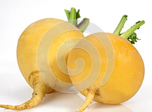 Golden Ball Turnip, brassica rapa, Vegetable against White Background photo