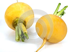 Golden Ball Turnips, brassica rapa, Vegetables against White Background photo