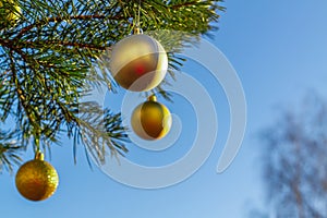 Golden balls on the Christmas tree in winter on the background of the blue sky outdoor