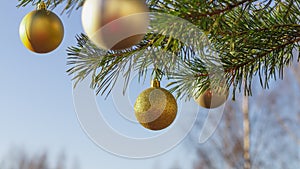 Golden balls on the Christmas tree in winter on the background of the blue sky outdoor