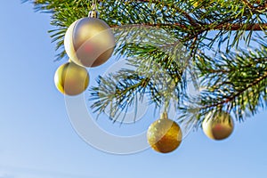 Golden balls on the Christmas tree in winter on the background of the blue sky outdoor