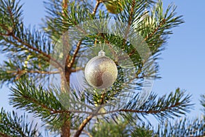 Golden balls on the Christmas tree in winter on the background of the blue sky outdoor