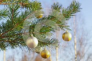 Golden balls on the Christmas tree in winter on the background of the blue sky outdoor