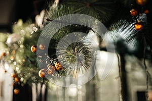 Golden balls of New Year`s decoration, fir branches with toys on the street during the day.