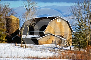 Golden Barn in the Snow