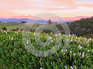 Golden Bay Sunset, Takaka, New Zealand