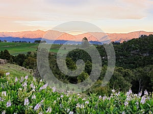 Golden Bay Sunset, Takaka, New Zealand