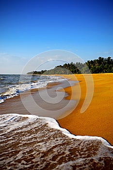 Golden beach