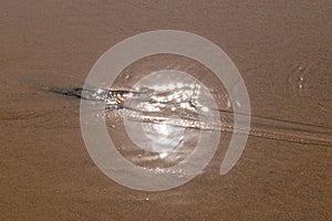 The golden beach after the sea recedes, the sand is very fine and soft photo