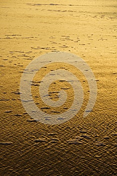 Golden beach at sunset.