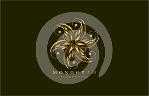 Golden Beauty Flourishes Star Logogram