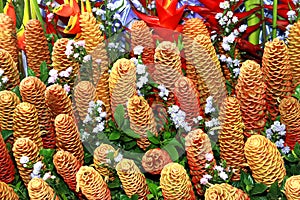 Golden beehive ginger, Zingiber spectabile griff, Beautiful tropical flowers Zingiberaceae