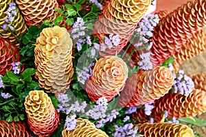 Golden beehive ginger, Zingiber spectabile griff, Beautiful tropical flowers Zingiberaceae