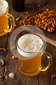 Golden Beer in a Glass Stein