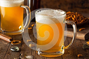 Golden Beer in a Glass Stein