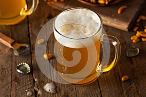 Golden Beer in a Glass Stein