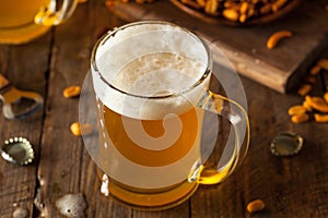 Golden Beer in a Glass Stein