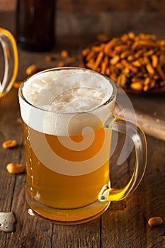 Golden Beer in a Glass Stein