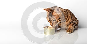 Bengal cat with a can of canned food on a white background