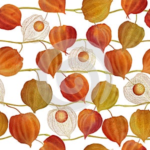 Golden berry flowers seamless watercolor pattern Physalis plants repeated background Cape gooseberry buds botanical illustration