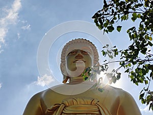 Golden big Buddha statue face (Phra Buddha Dhammakaya Thep Mongkol) in Wat Pak Nam Phasi Charoen temple.