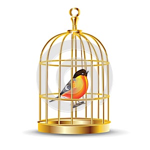 Golden bird cage with bird inside