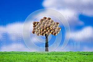 Golden Bitcoin crypto currency plant tree with green grass, blur blue sky and data trade, candlestick chart, graph forex stock