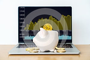Golden bitcoin on the piggy bank money box with a computer on background. Business and Finance, savings, Future finance,