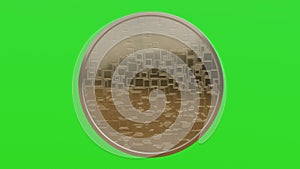 Golden Bitcoin sign rotation on chromakey background. BTC.