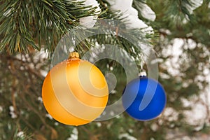 Golden and blue Christmas tree ball on a snow-covered tree branch