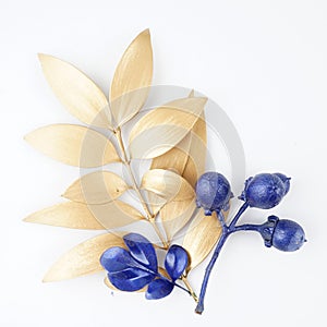 Golden and blue gold leaf. blue fruit.