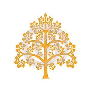Golden Bodhi tree symbol with Thai style isolate on background photo