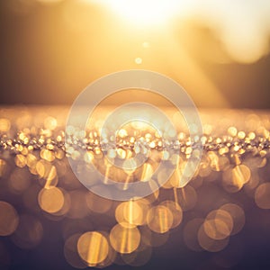 Golden bokeh effect dominates the image, creating a dreamy atmosphere with soft,