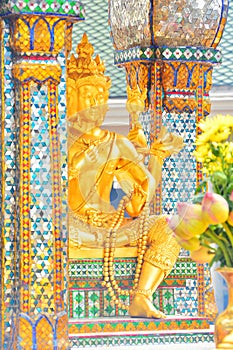 Golden Brahma photo