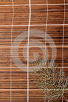 Golden branched shiny branch on old wooden sun-bleached blinds