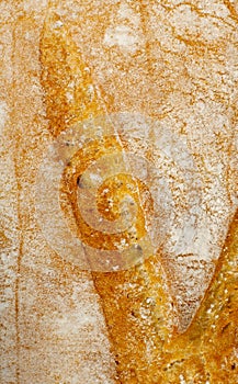 Golden Bread Crust Texture Background