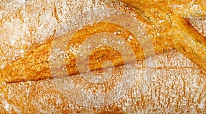 Golden Bread Crust Texture Background