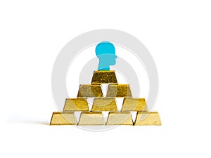 Golden bricks: wealth conceptualisation