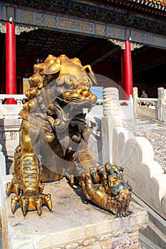 The golden bronze lion in the forbidden city, Beijing China