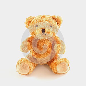 Golden brown teddy bear