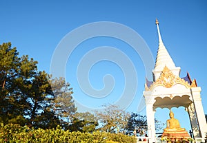 Golden budda statue