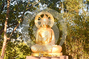 Golden budda statue