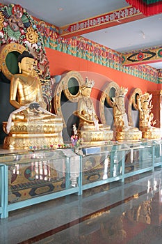 Golden budda statues