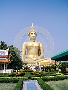 golden buddah