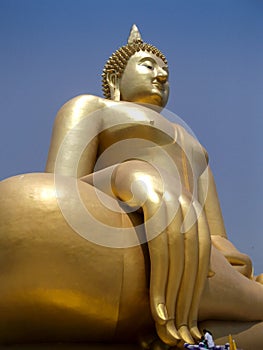 golden buddah