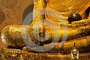 Golden Buddha