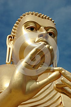 Golden Buddha at Dambulla,Sri Lanka photo