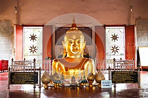 Golden Buddha emerging from ground in Phuket