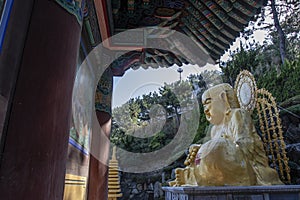 Golden Buddha of the Haedong Yonggungsa buddhist monastery in Busan, South Korea