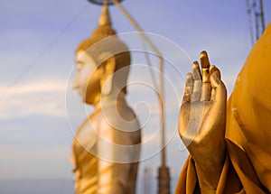 Golden Buddha and hand of praying buddhist monk`s statue, TIger